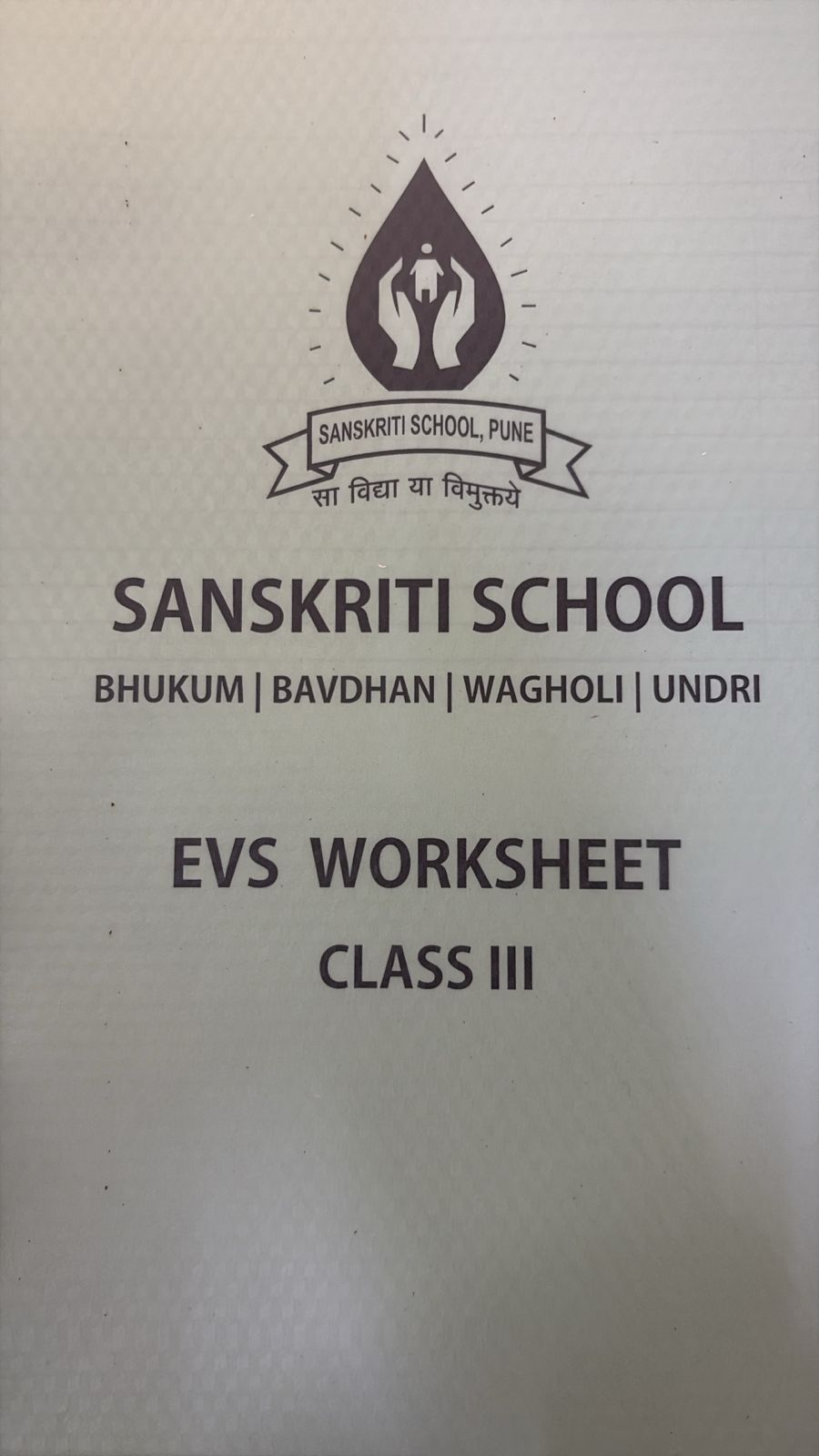 SANSKRITI CLASS 3 EVS WORKSHEET